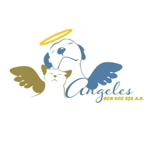 ANGELES CON VOZ SJR, A.C.